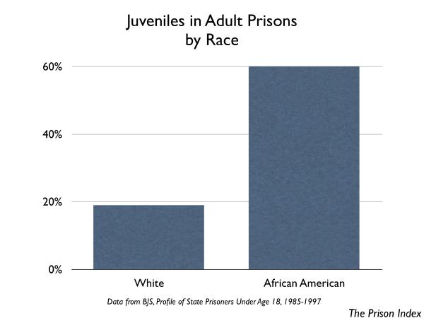 Of the juveniles in adult prisons, 60% are African American and 19% are White.